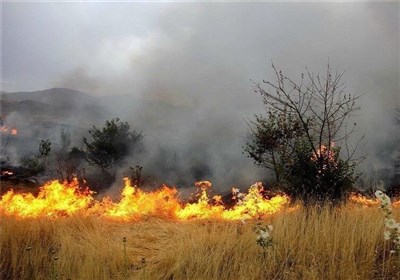  وقوع ۳ آتش‌سوزی در اراضی کوهدشت/ ۹۰ درصد حریق جنگل‌های لرستان عمدی است 
