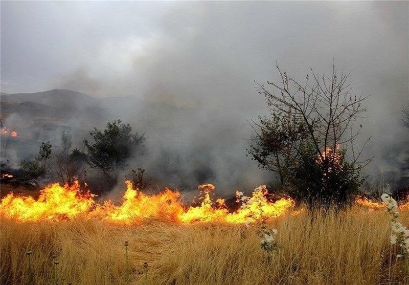 آتش‌سوزی عمدی در اراضی پلدختر/ عاملان حریق دستگیر می‌شوند