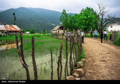 روستای استخرگاه نگین گمشده رودبار