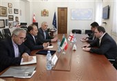 دیدار سفیر ایران با رئیس کمیسیون روابط خارجی پارلمان گرجستان