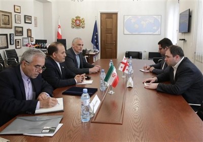  دیدار سفیر ایران با رئیس کمیسیون روابط خارجی پارلمان گرجستان 