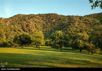 طبیعت بهاری منطقه دره اناران سپیدشت خرم آباد