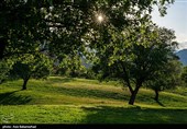 طبیعت بهاری منطقه دره اناران سپیدشت خرم آباد
