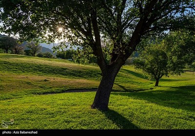 طبیعت بهاری منطقه دره اناران سپیدشت خرم آباد