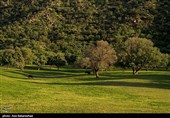 طبیعت بهاری منطقه دره اناران سپیدشت خرم آباد
