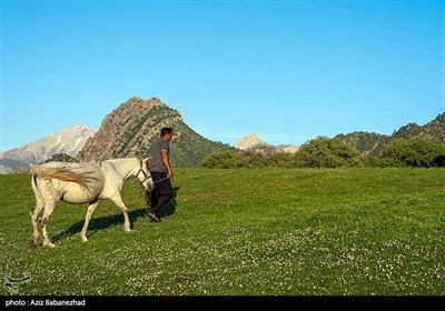 طبیعت بهاری منطقه دره اناران سپیدشت خرم آباد