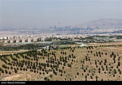 بازدید خبرنگاران از کمربند سبز و جنگل‌کاری‌ شمال شرق تهران