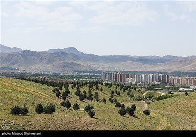 بازدید خبرنگاران از کمربند سبز و جنگل‌کاری‌ شمال شرق تهران
