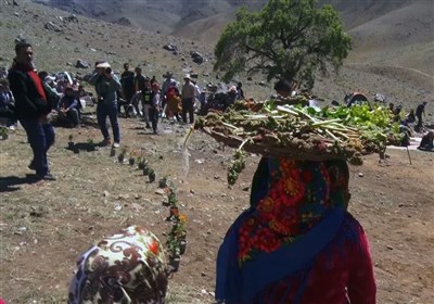 «جشنواره ریواس» آئینی کهن در راوه دلیجان استان مرکزی