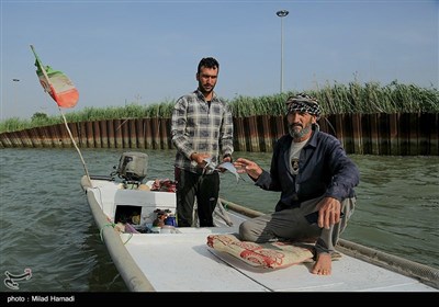 صید ماهی صبور در اروند رود