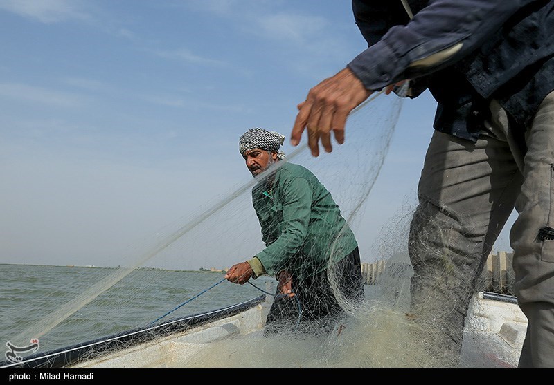 رشد 37 درصدی صید ماهی از آب‌های استان گلستان