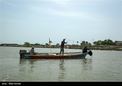 صید ماهی صبور در اروند رود