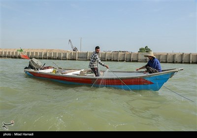 صید ماهی صبور در اروند رود