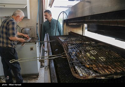 ماهی صبور از دیر باز یکی از خوشمزه ترین خوراک مردمان اروند کنار، آبادان و خرمشهر بوده است، اکثر مردم بهترین غذای محلی آن را در سفره های خود صرف می کردند. 