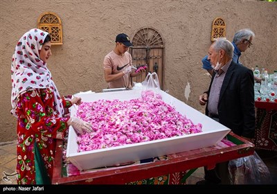 نوزدهمین جشنواره گل و گلاب تهران