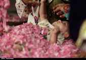 برگزاری آیین ملی «گلغلتان» در کاشان به روایت تصویر