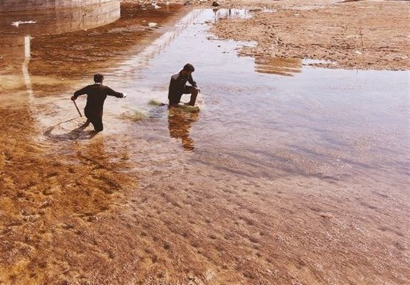 عراق|از انتقاد پارلمانی از سیاست آبی ترکیه تا احداث سد در مرز با ایران