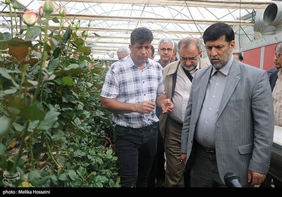 سفر سرپرست وزارت جهاد کشاورزی به استان مرکزی