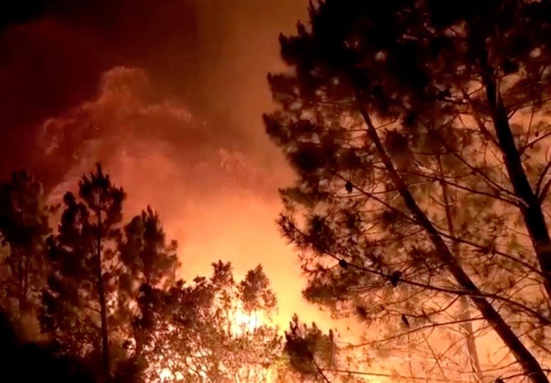 تداوم شعله‌های گسترده آتش در جنگل‌های مریوان/ آتش زبانه می‌‌کشد و درختان ‌می‌سوزند + فیلم