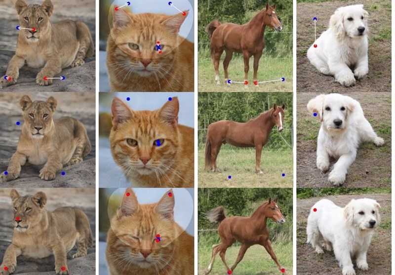 Ai Tool Allows Drag And Drop Image Manipulation With Impressive Results Science News Tasnim 4510