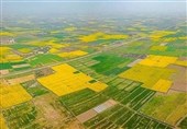 رصد و پایش اراضی کشاورزی 30 استان با ماهواره