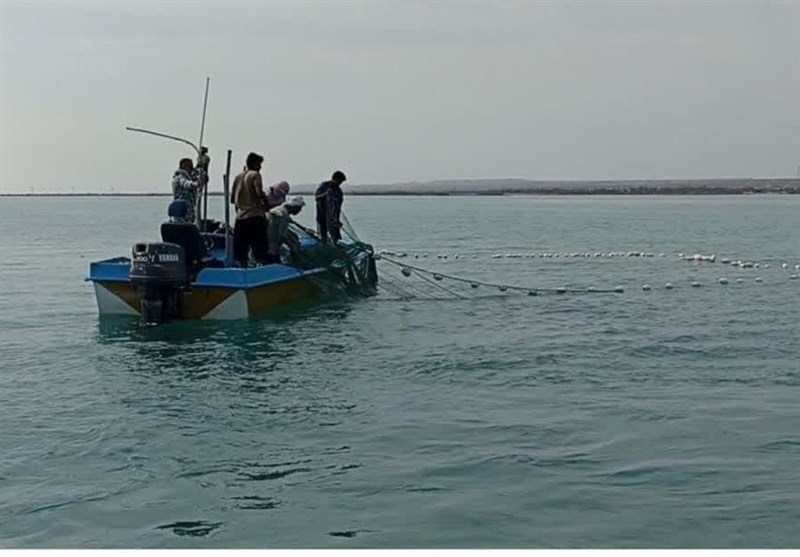 آغاز صید ماهی حلوا سفید در صیدگاه‌های خوزستان
