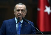 Turkey Plans to Repatriate Syrian Refugees in Batches: Erdogan