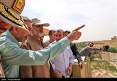 پایان نابهسامانی کولهبران کرمانشاهی/ ثبتنام از کولهبران هفته آینده آغاز میشود