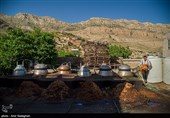 جشنواره گل و گلاب لایزنگان فارس