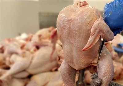  عرضه مرغ با قیمت هر کیلو ۷۱ هزار تومان در میادین میوه و تره‌‌بار شهرداری تهران 