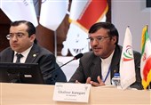 کارگری: میزبانی از هیئت اجرایی APC برای ما افتخار است/ راشد: ایران نقش مهمی در جنبش پارالمپیک دارد