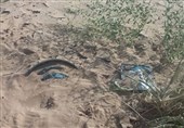 Two Children Killed, Three Injured in Yemen Landmine Blast