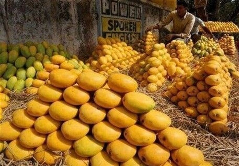 حذف سود بازرگانی انبه برای مرزنشینان راسک و سیستان