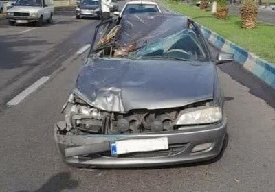 تصادف خودروی پژو با اسب در بندرانزلی/ راننده جان باخت