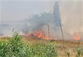 وقوع آتش سوزی گسترده در نزدیکی شهر عسقلان در فلسطین اشغالی