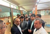 ایران رتبه یک تولید و معرفی ارقام جدید کشاورزی در خاورمیانه است