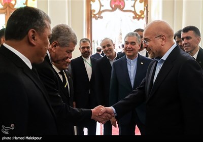 دیدار رهبر ملی ترکمنستان با رئیس مجلس شورای اسلامی