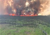 آتش سوزی در کانادا هزاران نفر را مجبور به ترک خانه کرد