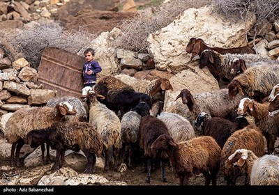 از قشلاق تا کوچ برای ییلاق عشایر لرستان