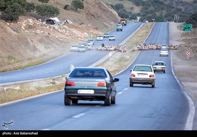 از قشلاق تا کوچ برای ییلاق عشایر لرستان