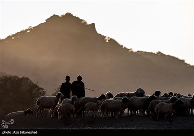 از قشلاق تا کوچ برای ییلاق عشایر لرستان