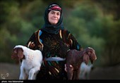 از قشلاق تا کوچ برای ییلاق عشایر لرستان