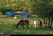 از قشلاق تا کوچ برای ییلاق عشایر لرستان