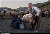 پلدختر میزبان 10 هزار عشایر ایران با یک‌ میلیون رأس دام