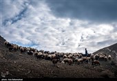 از قشلاق تا کوچ برای ییلاق عشایر لرستان