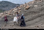 از قشلاق تا کوچ برای ییلاق عشایر لرستان