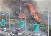 گزارش 220 مورد آتش سوزی در فلسطین اشغالی؛ تداوم حریق‌های غیرقابل کنترل