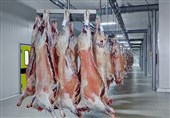 رشد 2 درصدی عرضه گوشت قرمز در کشتارگاه‌های رسمی