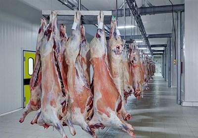 ساخت نخستین کشتارگاه تمام صنعتی دام استان بوشهر 