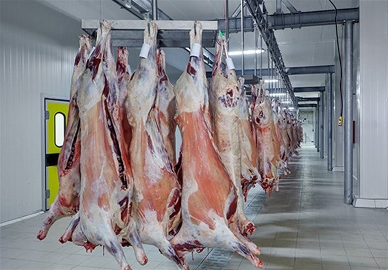 تامین 50 درصد ‌کسری گوشت ایران از سیستان و بلوچستان تا 2 سال دیگر